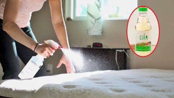 Xịt giấm trắng lên bề mặt đệm để loại bỏ mùi thuốc lá khó chịu